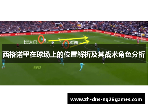 西格诺里在球场上的位置解析及其战术角色分析