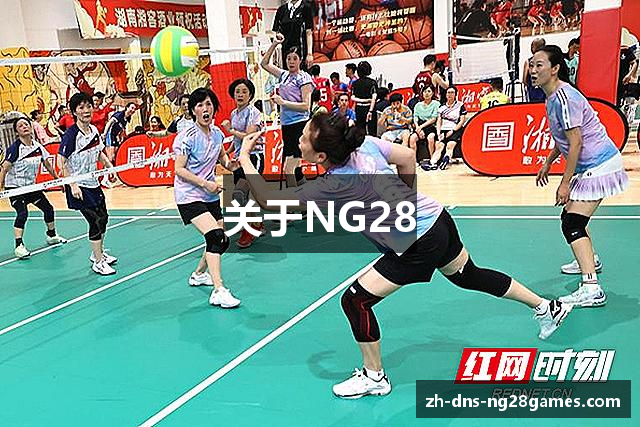 关于NG28